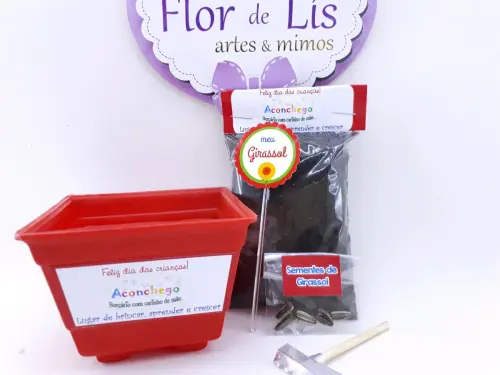 Kit Plantação Educativo Ecológico Brinde Dia das Crianças