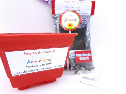 Kit Plantação Educativo Ecológico Brinde Dia das Crianças