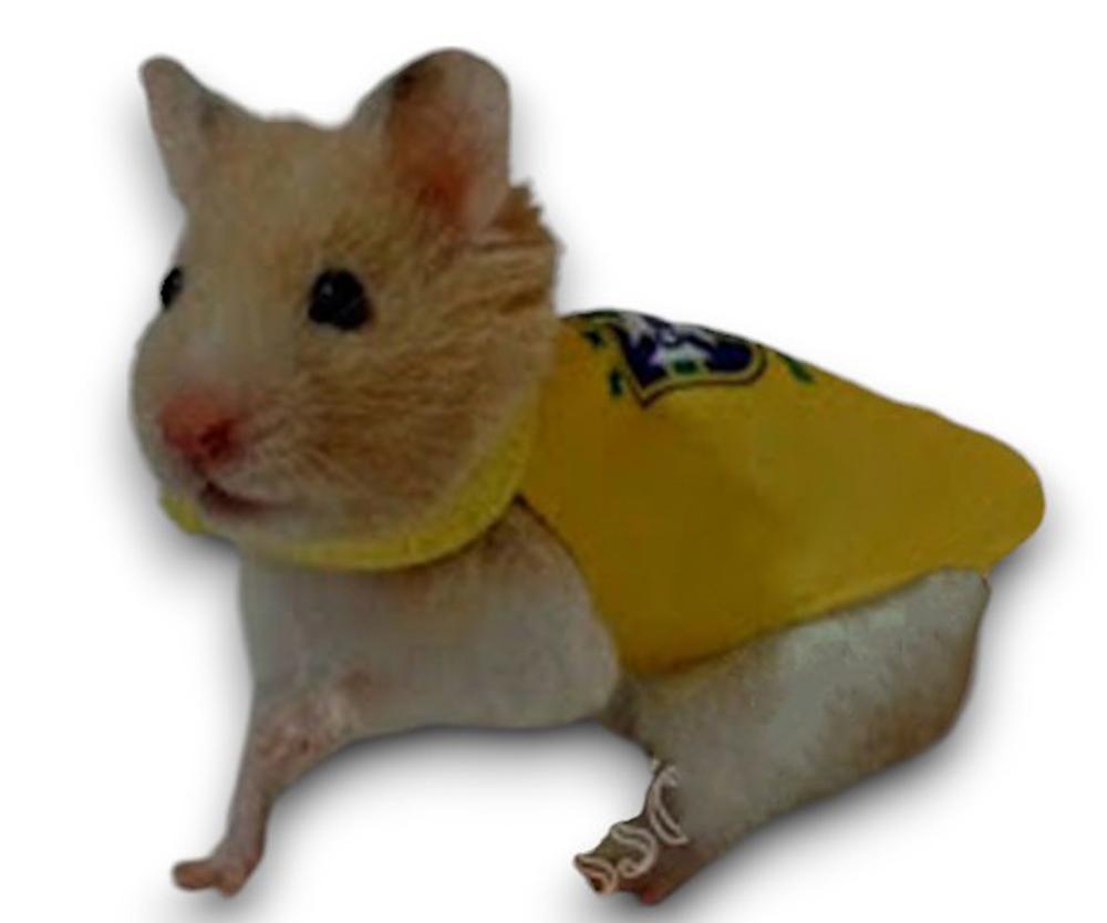 Roupa coleira para hamster