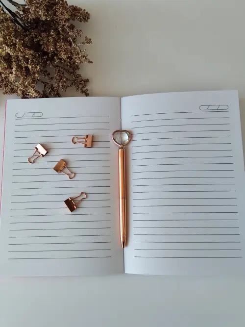 Caderno Diário 400 páginas